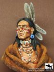 B10018 Sioux Lakota Blackdog
