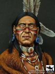 B10018 Sioux Lakota Blackdog